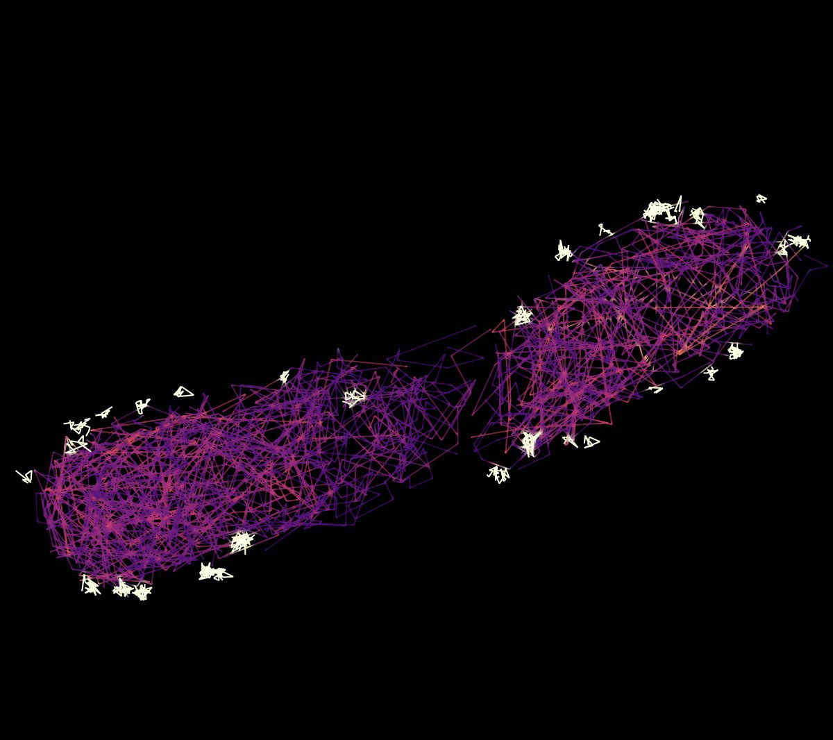 How Bacteria load their syringes