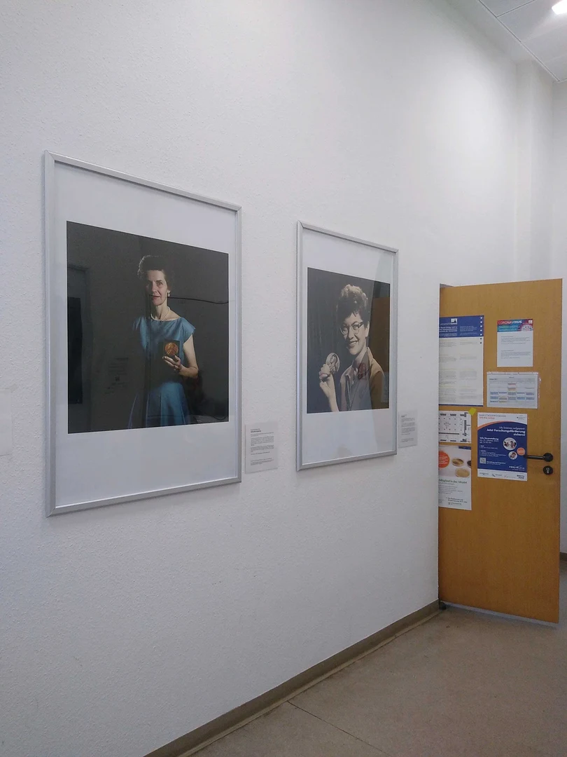 "Missed Pictures" - WOMEN IN SCIENCE - A VISUALIZATION